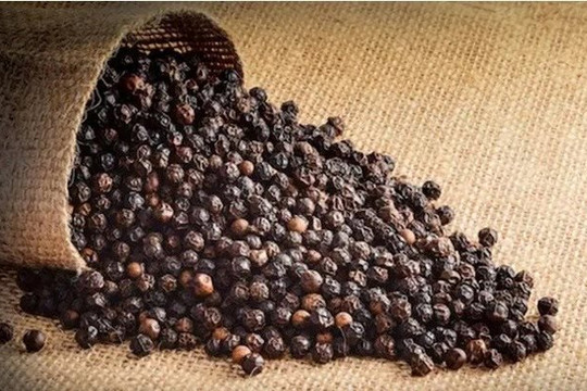 “Vàng đen” Việt Nam trở lại doanh thu tỷ USD