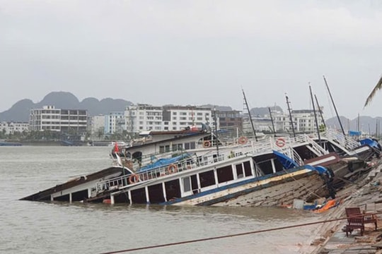 VCCI kiến nghị giảm thuế đất cho những địa phương chịu thiệt hại do bão Yagi