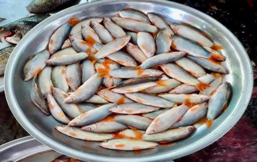 Về Miền Tây mùa nước nổi thưởng thức món ăn đặc sản từ cá heo