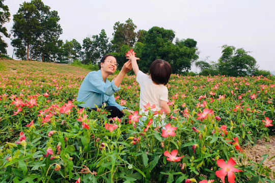 Sắc thu rộn ràng Bản Tèn