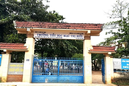 Thanh tra vụ học sinh bị "quên" mua bảo hiểm y tế