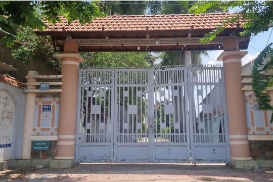 Cây xanh Công Minh thông đồng chủ đầu tư xây dựng giá gói thầu