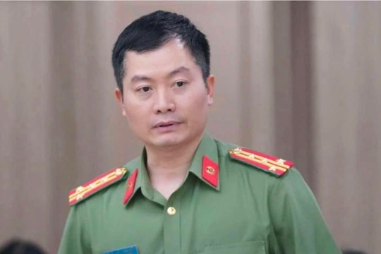 Công ty TNHH Cây xanh Công Minh "thông thầu" với chủ đầu tư từ giai đoạn lập dự án