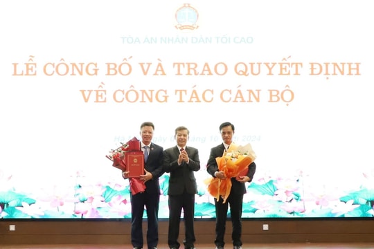 Bổ nhiệm lãnh đạo cấp Vụ thuộc Tòa án nhân dân tối cao