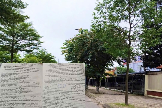 “Bí ẩn” hàng nghìn m2 đất tại Hải Dương – kỳ 1: Hợp đồng đến từ tương lai?