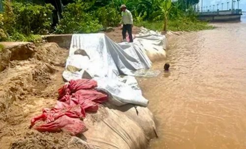 Công bố tình huống khẩn cấp sạt lở bờ sông Tiền