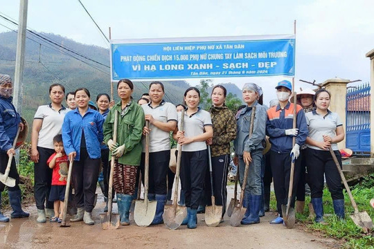 Hạ Long: Vươn mầm xanh sau bão nhờ Đảng quyết trí, dân đồng lòng