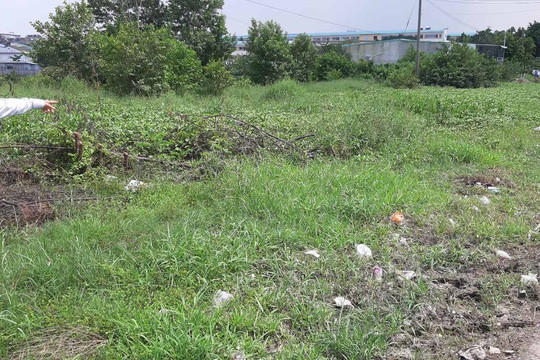 Bi hài chuyện mua đất: Chi tiền tỷ vẫn phải "đuổi vịt trời"