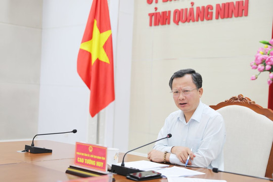 Ngành lâm nghiệp Quảng Ninh nỗ lực mục tiêu khôi phục rừng sau bão