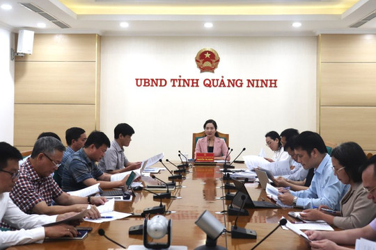 Quảng Ninh phấn đấu đón 19 triệu lượt khách du lịch