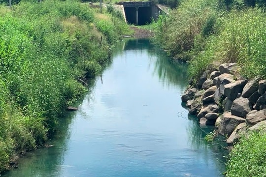 Đồng Nai: Làm rõ việc xe container đổ chất thải độc hại, gây ô nhiễm môi trường