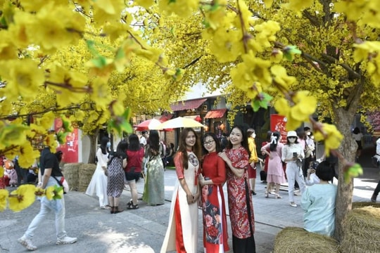 Lịch nghỉ Tết Dương lịch năm 2025