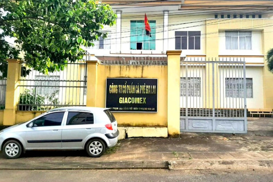 Kiến nghị chuyển hồ sơ Công ty Cà phê Gia Lai gây thiệt hại hơn 26 tỷ đồng sang Công an