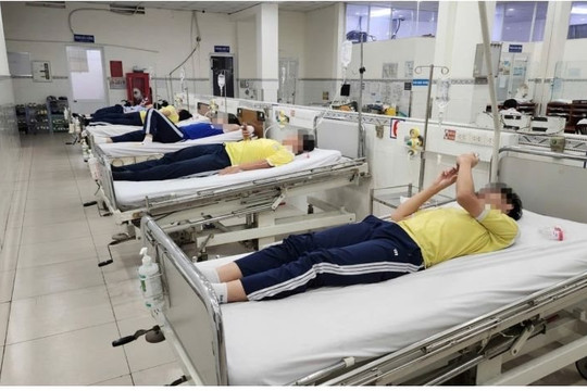 TP.HCM chỉ đạo khẩn vụ học sinh nghi bị ngộ độc ở trường Lê Quý Đôn