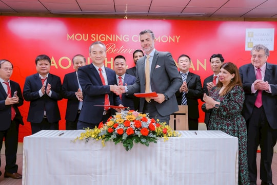 Tổng Công ty CP Bảo Minh làm việc với Phòng Thương mại Mỹ-Á cùng đoàn doanh nghiệp bảo hiểm Hoa Kỳ
