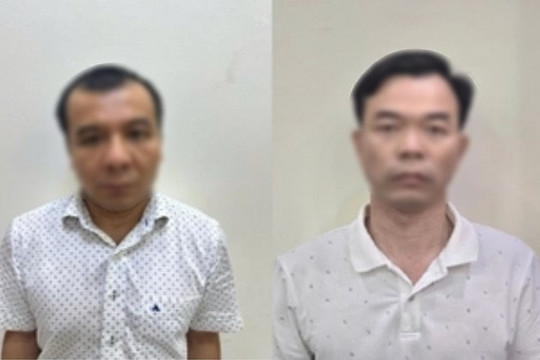 Vì sao Phó TGĐ Công ty xi măng Hạ Long và 7 đồng phạm bị bắt?