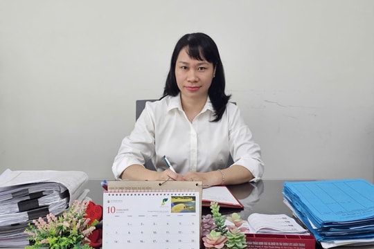 Kỹ năng hòa giải của Thẩm phán là nền tảng để xây dựng công lý