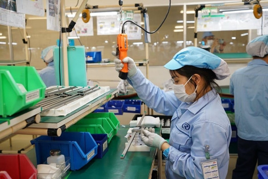 Sẽ thanh tra doanh nghiệp trốn đóng bảo hiểm xã hội cho người lao động