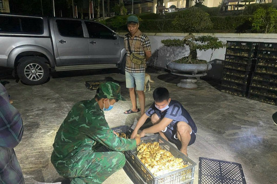 Quảng Ninh: Bắt giữ đối tượng vận chuyển gà giống trái phép
