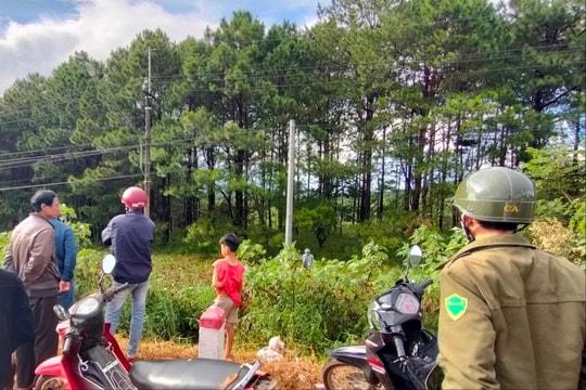 Người đàn ông tử vong trong tư thế treo cổ ở rừng thông