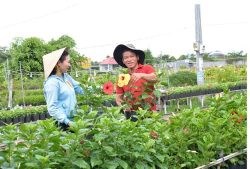 Đồng Tháp: Tất bật chuẩn bị hoa cho dịp Tết Nguyên đán Ất Tỵ