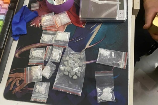 Triệt phá thành công 2 vụ mua bán trái phép chất ma túy