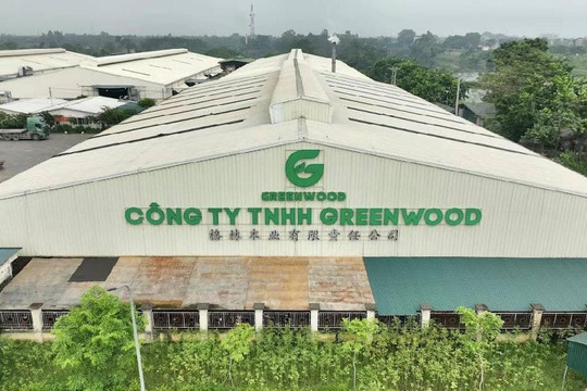 Công ty TNHH GREENWOOD bị xử phạt 140 triệu đồng do vi phạm bảo vệ môi trường