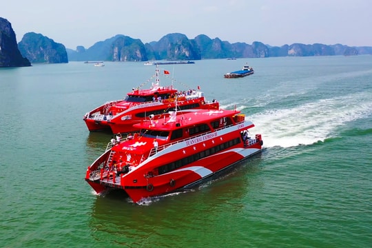 Chuẩn bị vận hành tuyến tàu cao tốc kết nối Hạ Long - Cát Bà