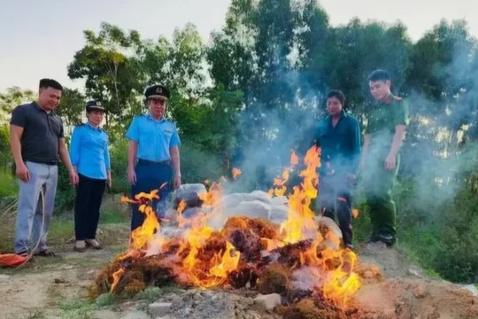 Tiêu hủy hơn 5 tạ măng khô không rõ nguồn gốc