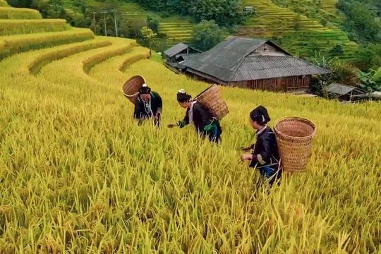 Những ngôi làng cổ đẹp như thiên đường ở Hà Giang