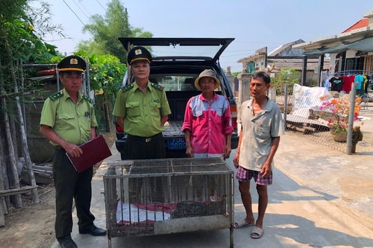 Nhiều động vật hoang dã quý hiếm được thả về môi trường tự nhiên