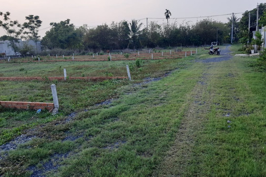 Vụ án tranh chấp đất ở Củ Chi suốt 20 năm sắp ngã ngũ?