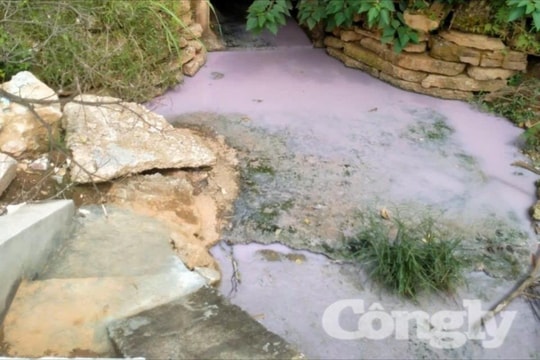 Thanh Hóa: Người dân bất an vì doanh nghiệp xả nước thải trực tiếp ra môi trường