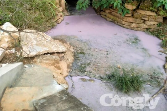 Vụ doanh nghiệp xả nước thải trực tiếp ra môi trường: Yêu cầu dừng hoạt động sản xuất