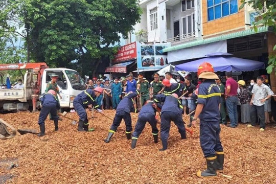 Lật xe chở dăm gỗ khiến ba người tử vong ở TP Quy Nhơn