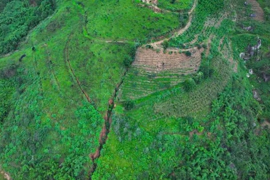 Xuất hiện vết nứt lớn, tiềm ẩn nguy cơ sạt lở ở Lâm Đồng