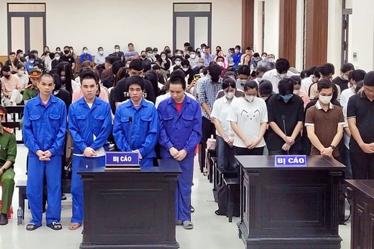 61 người mua bán bằng cấp giả lĩnh án