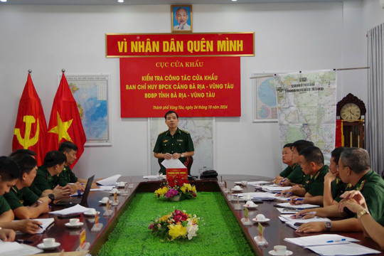 Kiểm tra công tác cửa khẩu tại cảng Bà Rịa - Vũng Tàu