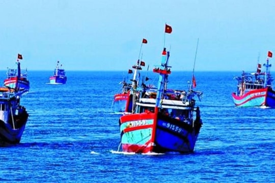 Quảng Ngãi còn hơn 300 tàu cá đang hoạt động trên biển