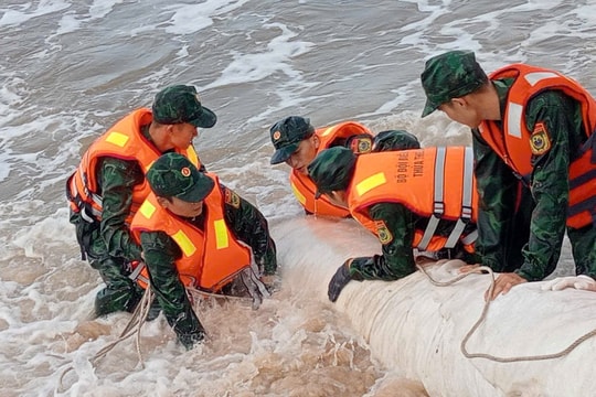 Chủ động ứng phó bão TRAMI và gió mạnh trên biển