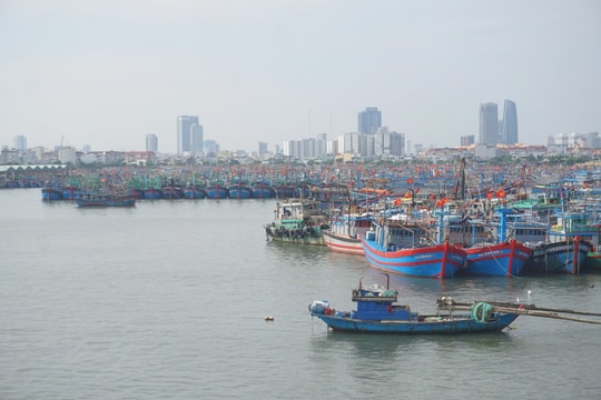 Đà Nẵng: Neo đậu tàu thuyền đảm bảo an toàn trước bão