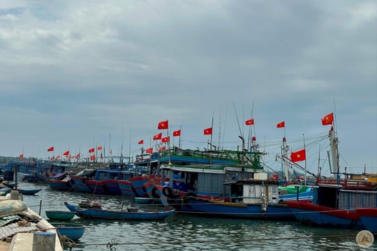 Quảng Nam cấm biển từ 10 giờ hôm nay