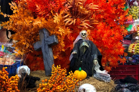 TP.HCM: Rực rỡ sắc màu Halloween trước thềm lễ hội
