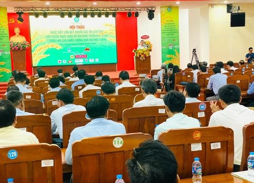 Hậu Giang tiên phong thực hiện sản xuất lúa phát thải thấp