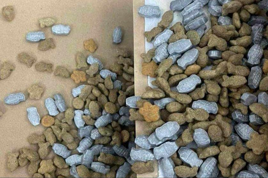 Đề nghị truy tố bị can vụ giấu ma tuý lẫn trong thức ăn chó, mèo