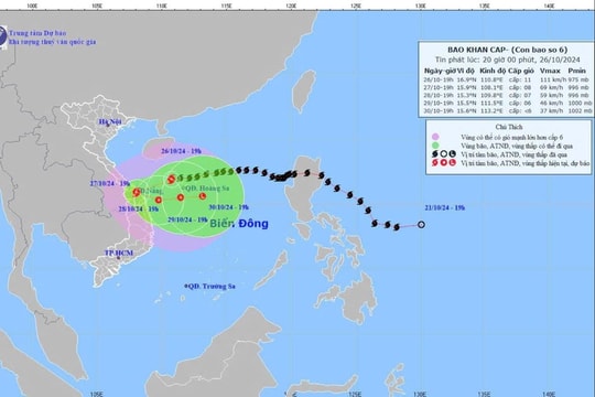 Bão số 6 cách bờ khoảng 290km, Đà Nẵng gấp rút hoàn tất di dời dân
