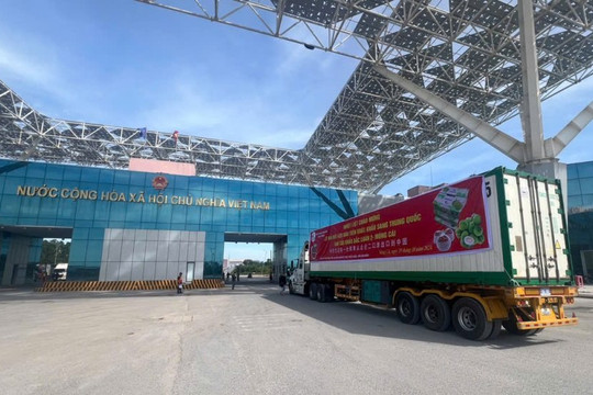 Hàng chục nghìn quả dừa tươi đầu tiên xuất khẩu sang Trung Quốc