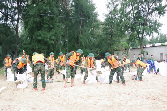 Huy động hơn 200 cán bộ chiến sĩ gia cố bờ biển sạt lở để chống bão TRAMI