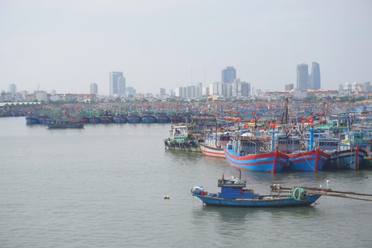 Đà Nẵng: Triển khai các phương án xử lý ngập úng khi có mưa lớn kéo dài