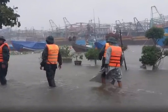 Quảng Trị: Bão số 6 gây ngập lụt, mất điện, cây xanh gãy đổ